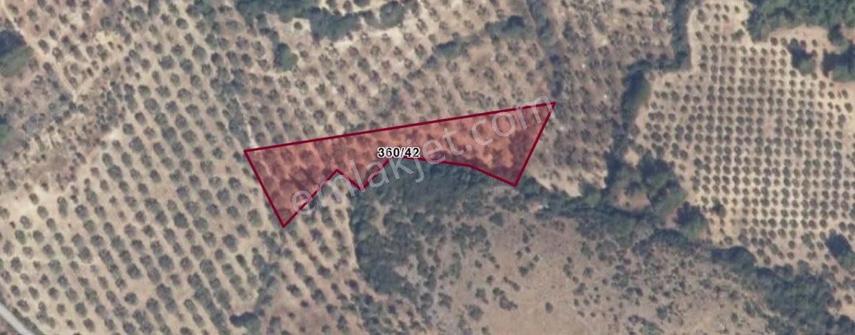 Şehır Merkezıne Yakın 4112 M² Satılık Tarla - Görsel 14