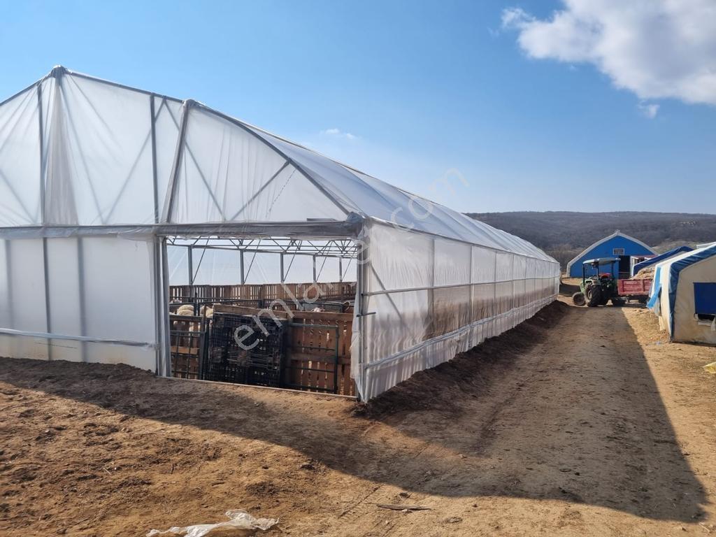 Pınarhisar İslambeylide 34.719 M2 İçerisinde Hazır Çiftlik - Görsel 16