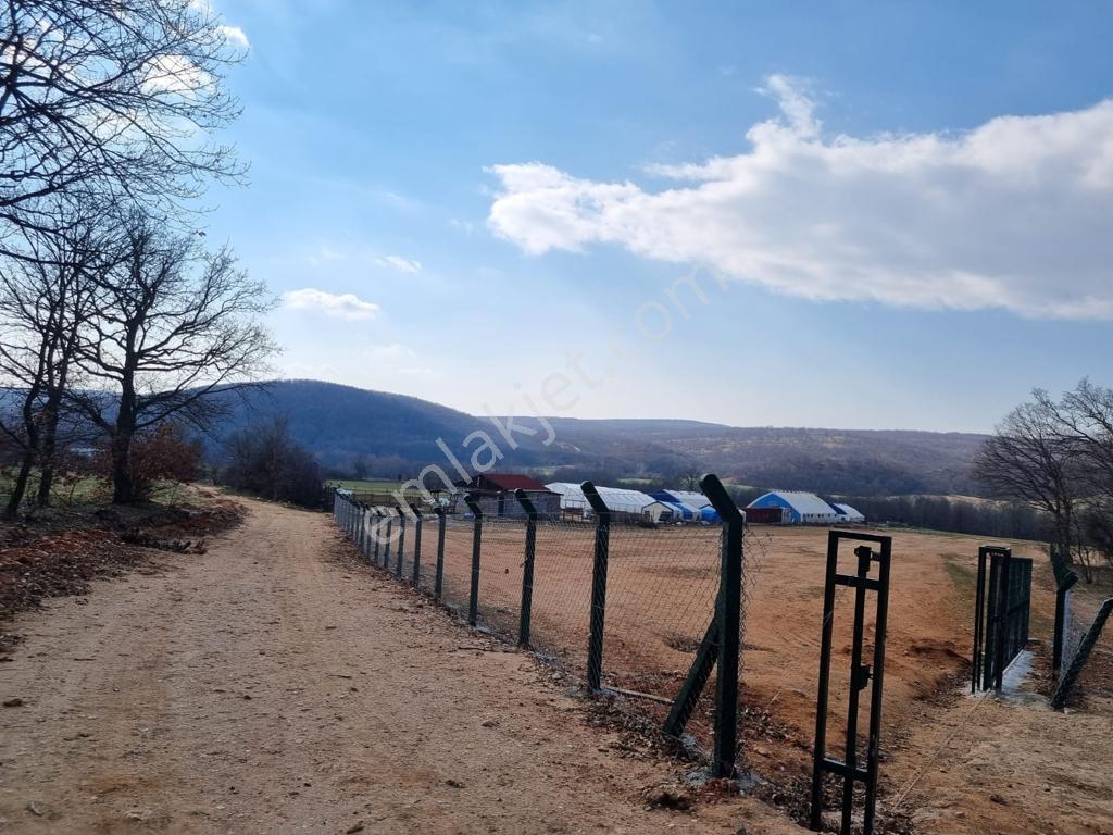 Pınarhisar İslambeylide 34.719 M2 İçerisinde Hazır Çiftlik - Görsel 19