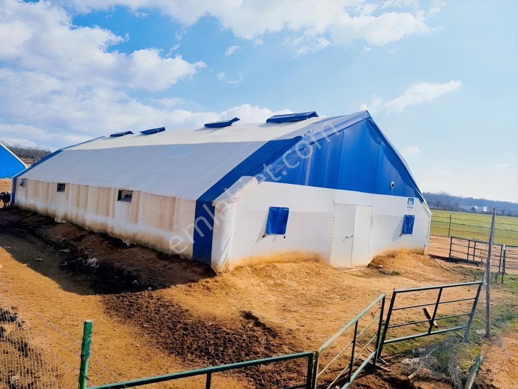 Pınarhisar İslambeylide 34.719 M2 İçerisinde Hazır Çiftlik - Görsel 8