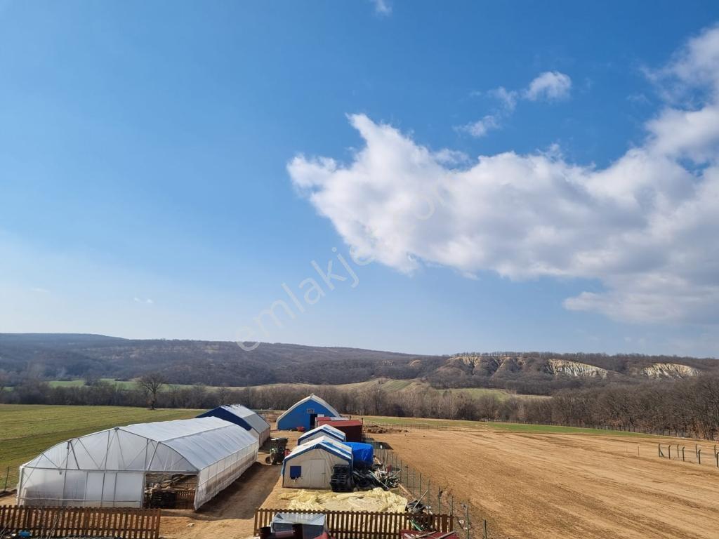 Pınarhisar İslambeylide 34.719 M2 İçerisinde Hazır Çiftlik - Görsel 20