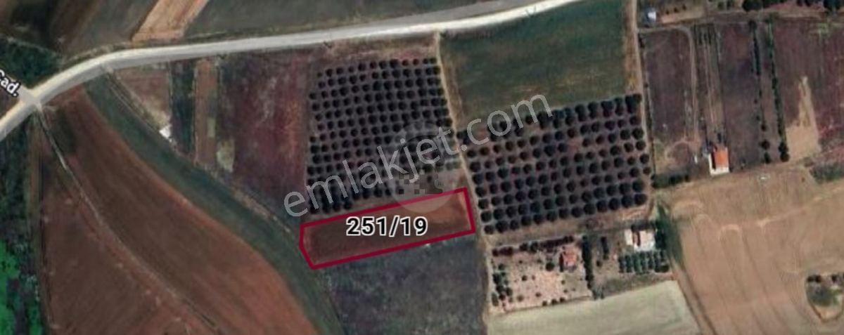 Çeşmeli Köyü Sınırları İçinde Satılık Arazi - Görsel 3