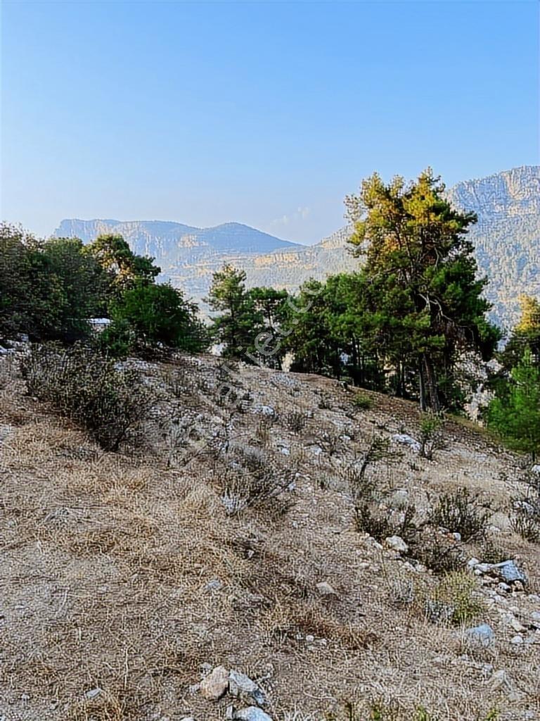 Mersin'in Eşsiz Doğasında Yer Alan Çukurkeşlikte Muhteşem Arazi - Görsel 17