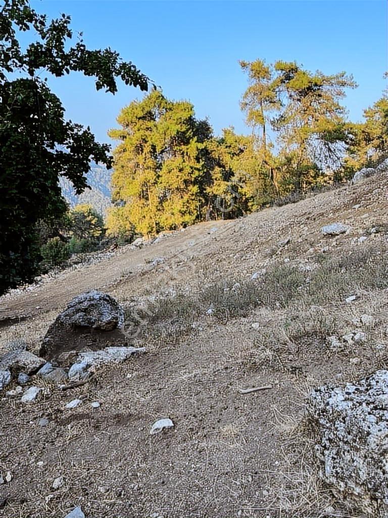 Mersin'in Eşsiz Doğasında Yer Alan Çukurkeşlikte Muhteşem Arazi - Görsel 13