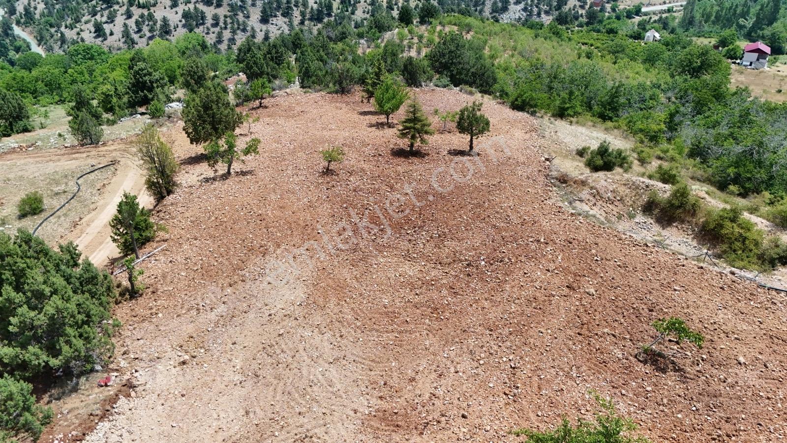Bolkardan Arslanköyde 5861m² Satılık Arazi - Görsel 8