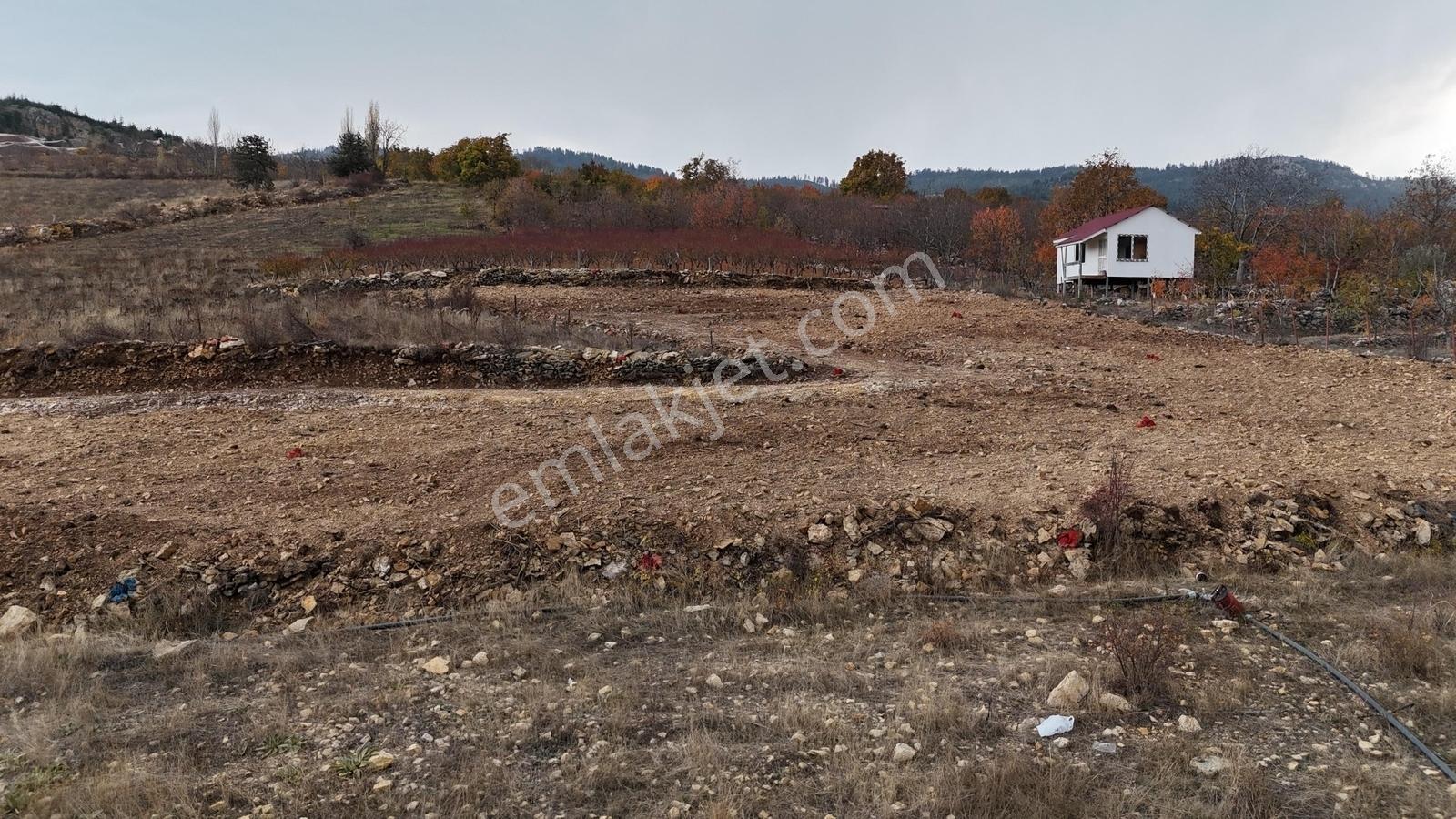 Mersin Toroslar Arslanköyde 312 M² Son 2 Parsel - Görsel 2