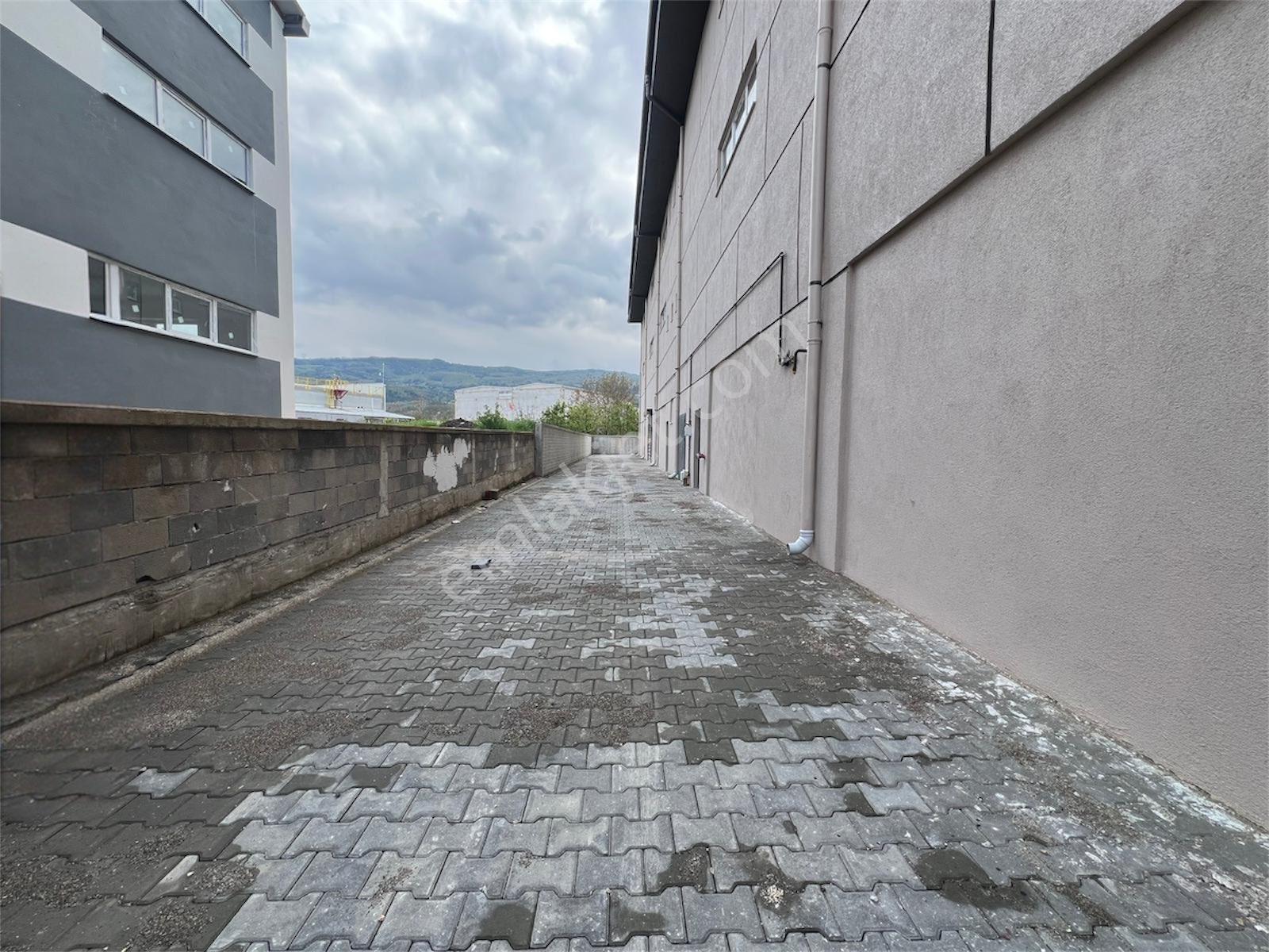 Roma’ Dan Yenice’ De Kiralık Fabrika - Görsel 14