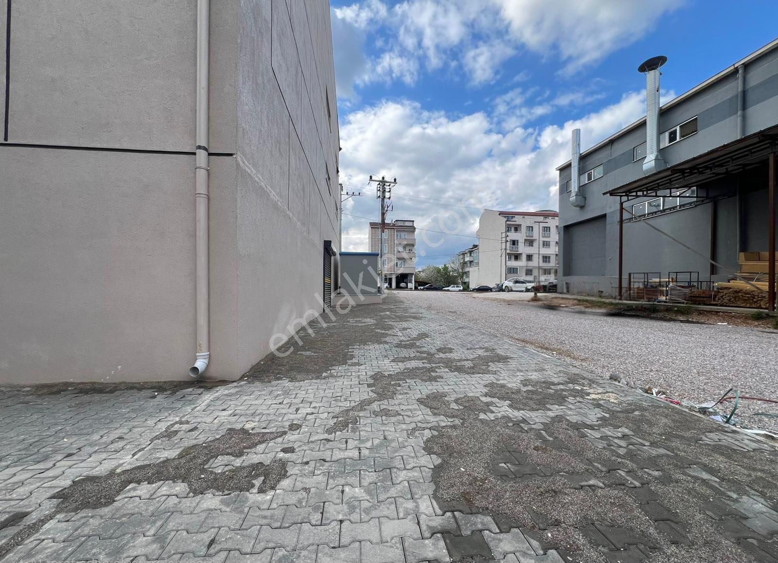 Roma’ Dan Yenice’ De Kiralık Fabrika - Görsel 13