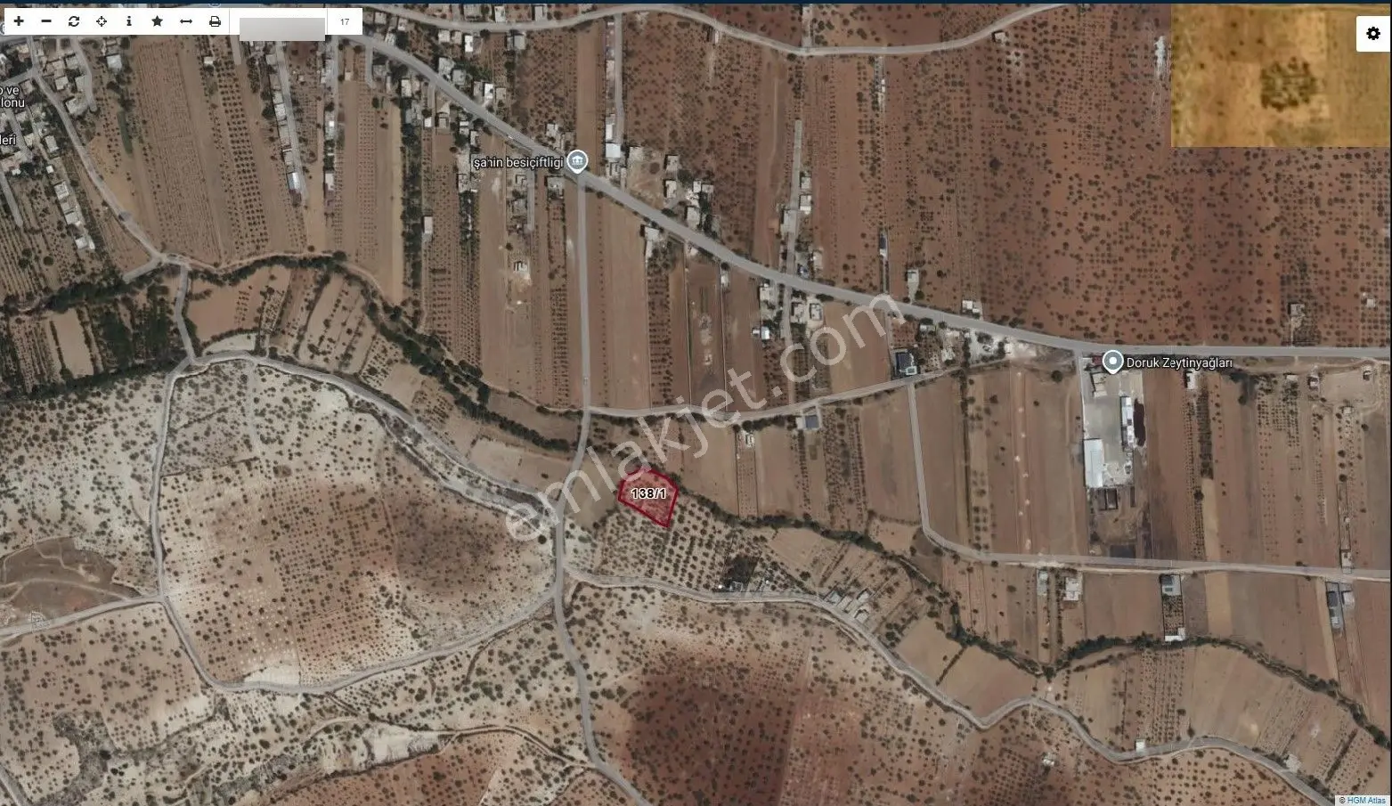 Aşağı Arıl'da Satılık 2367m2 Zeytinlik Tek Tapu - Görsel 2