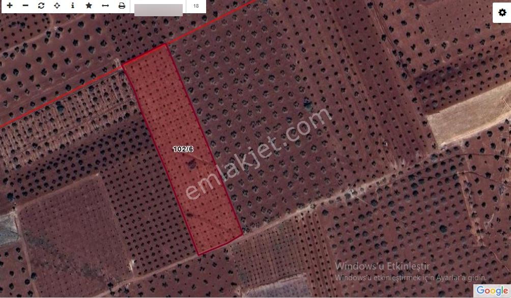 Kilis İnanlı'da 8768 M2 Tek Tapu Tonluk Zeytinlik - Görsel 4