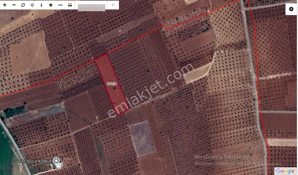 Kilis İnanlı'da 8768 M2 Tek Tapu Tonluk Zeytinlik