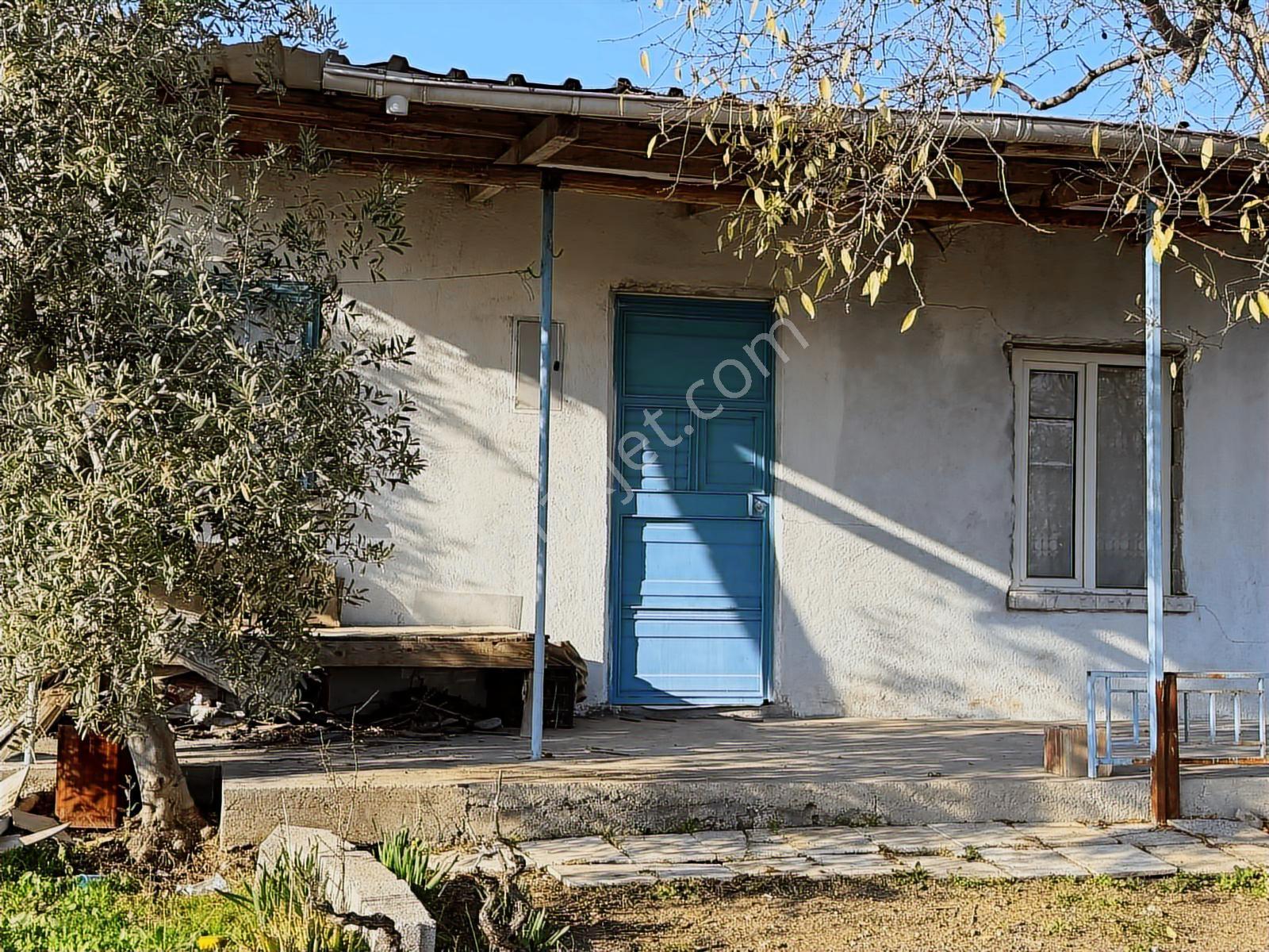 Bolkardan Resul Mahallesinde Satılık Zeytinlik Ve Müstakil Ev - Görsel 13
