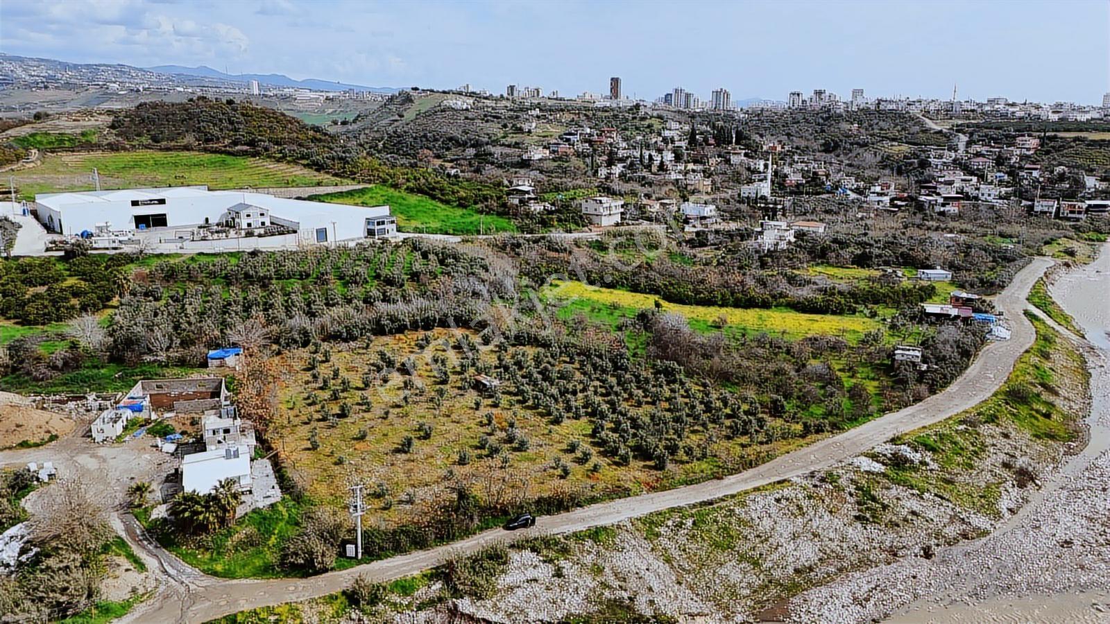 Mersin Toroslar Karaisalı'da 7.801 M² Tek Tapulu Bahçe - Görsel 8