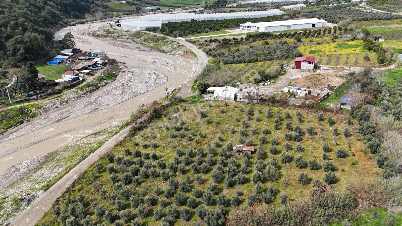 Mersin Toroslar Karaisalı'da 7.801 M² Tek Tapulu Bahçe