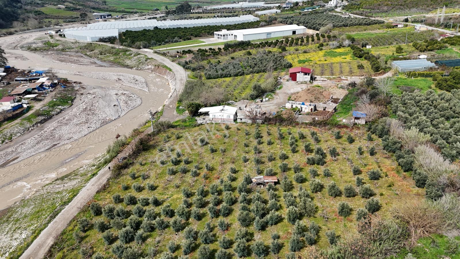 Mersin Toroslar Karaisalı'da 7.801 M² Tek Tapulu Bahçe - Görsel 7