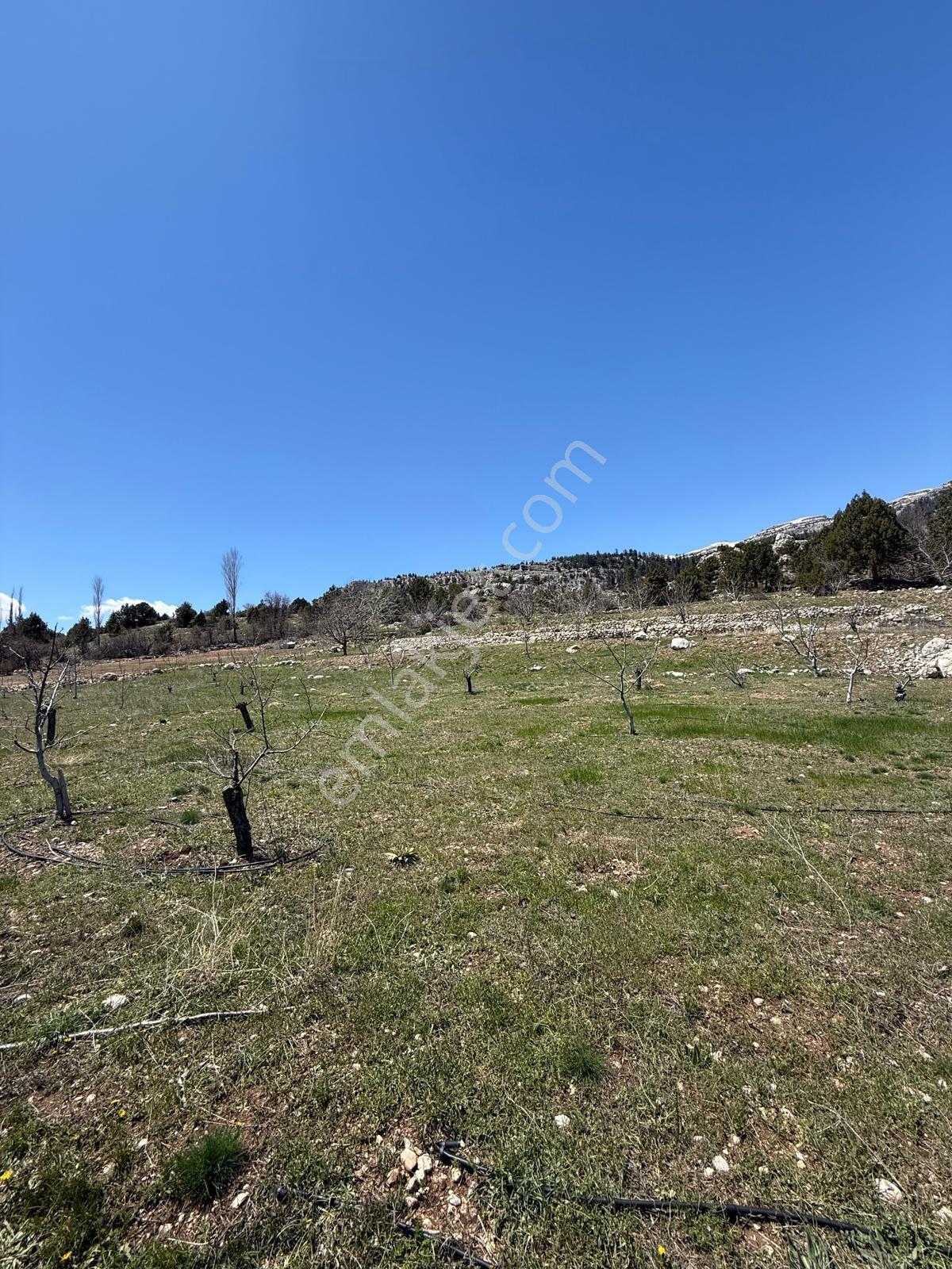 Bolkardan Arslanköyde Satılık Arazi 3993 M² Yedigöz Mevkii - Görsel 21