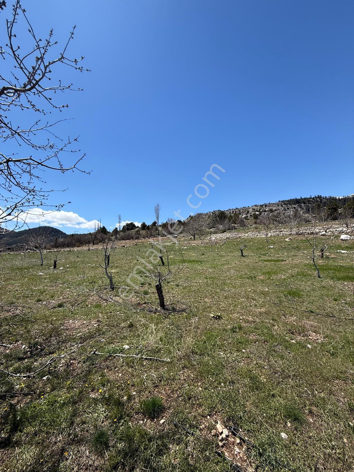Bolkardan Arslanköyde Satılık Arazi 3993 M² Yedigöz Mevkii - Görsel 6