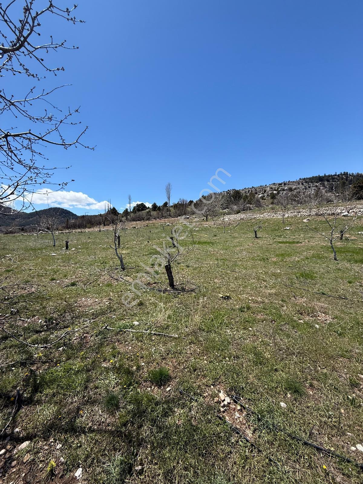 Bolkardan Arslanköyde Satılık Arazi 3993 M² Yedigöz Mevkii - Görsel 23