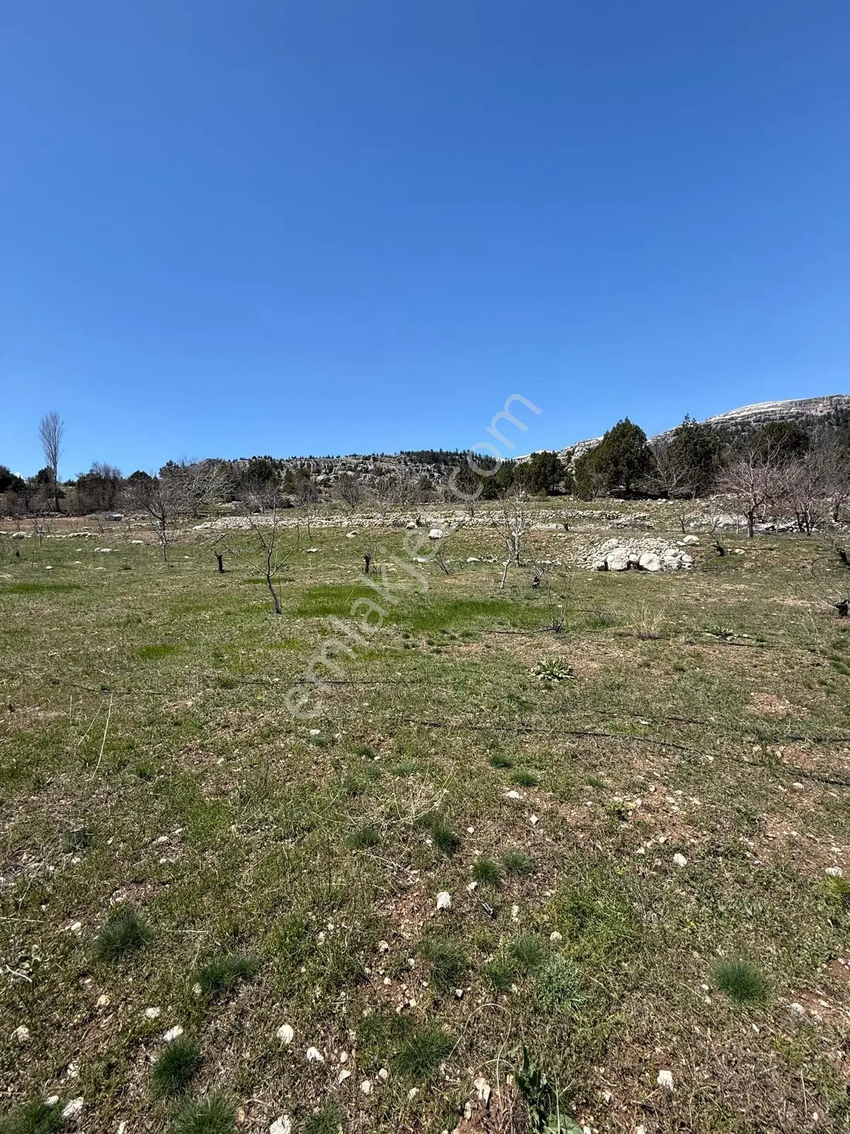 Bolkardan Arslanköyde Satılık Arazi 3993 M² Yedigöz Mevkii - Görsel 3