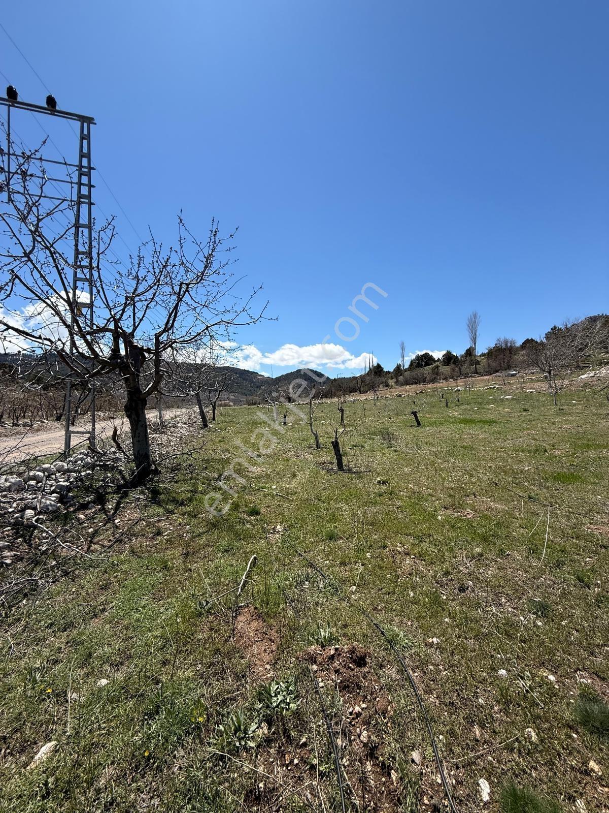 Bolkardan Arslanköyde Satılık Arazi 3993 M² Yedigöz Mevkii - Görsel 15