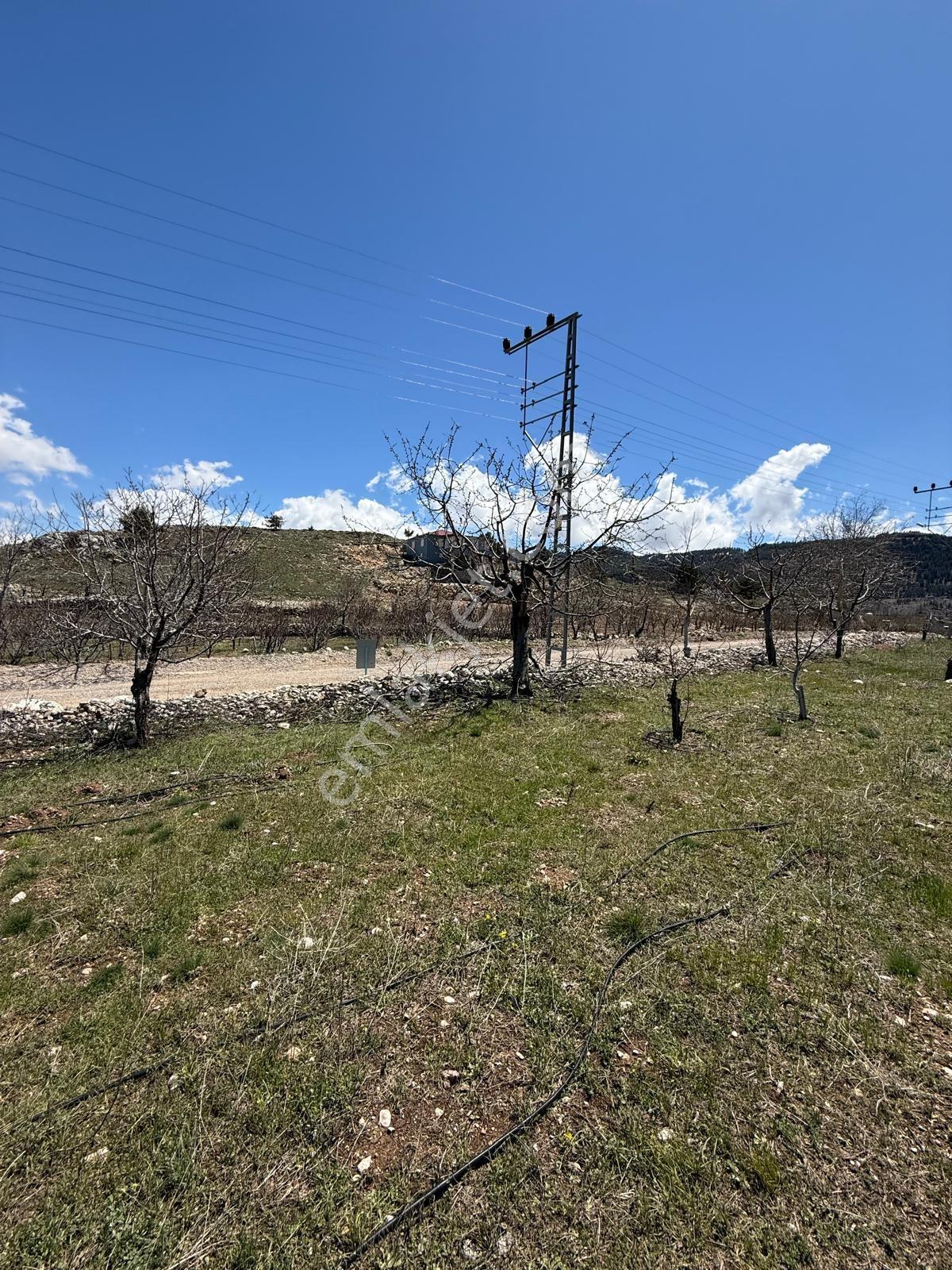 Bolkardan Arslanköyde Satılık Arazi 3993 M² Yedigöz Mevkii - Görsel 25