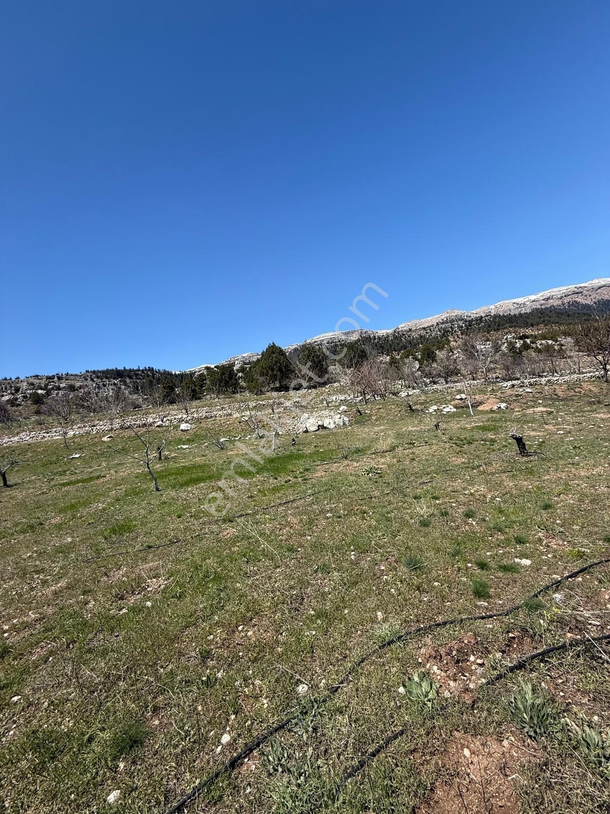 Bolkardan Arslanköyde Satılık Arazi 3993 M² Yedigöz Mevkii - Görsel 13