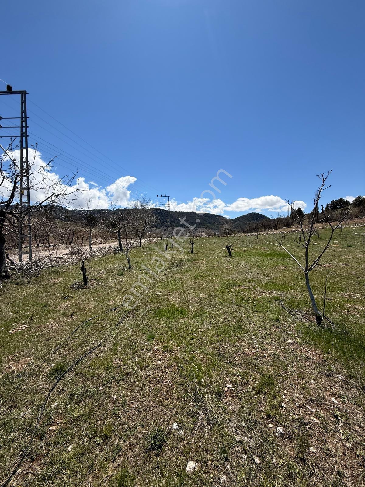 Bolkardan Arslanköyde Satılık Arazi 3993 M² Yedigöz Mevkii - Görsel 22