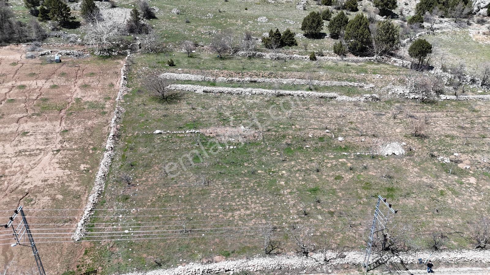 Bolkardan Arslanköyde Satılık Arazi 3993 M² Yedigöz Mevkii - Görsel 18