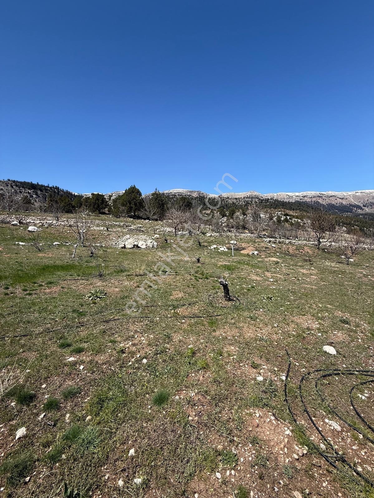 Bolkardan Arslanköyde Satılık Arazi 3993 M² Yedigöz Mevkii - Görsel 10