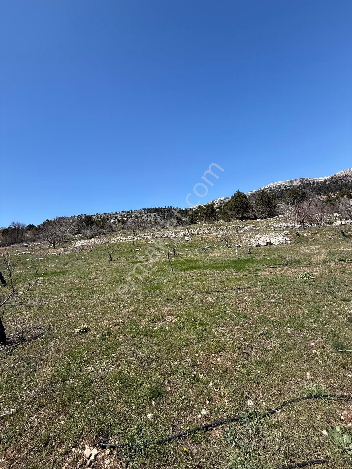 Bolkardan Arslanköyde Satılık Arazi 3993 M² Yedigöz Mevkii - Görsel 20