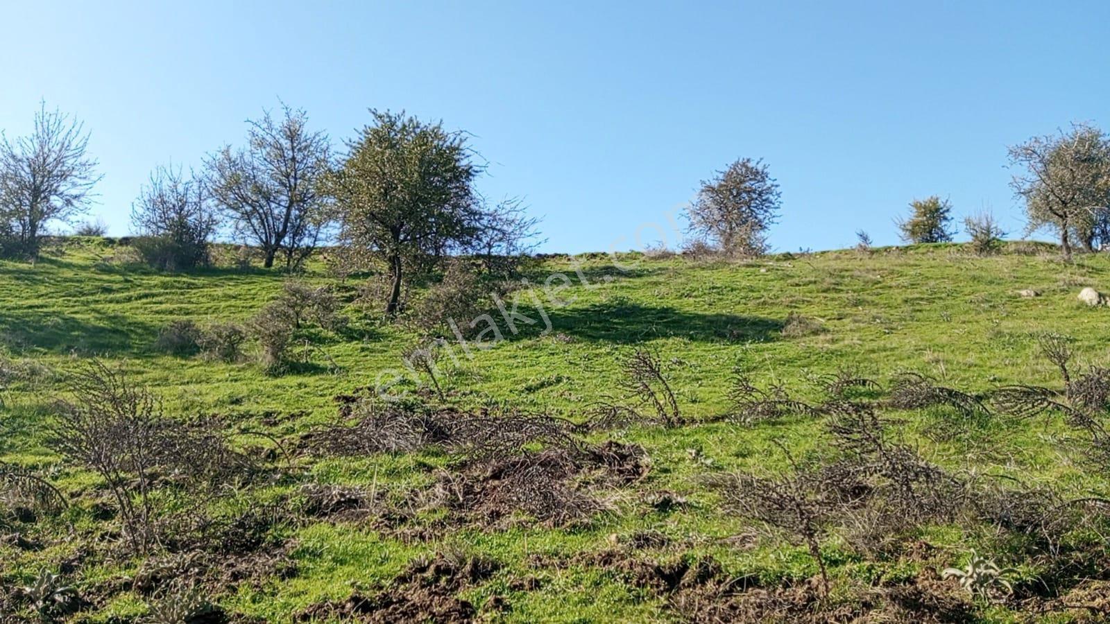 1411 M2 Tapulu Hisseli Tarla - Görsel 5