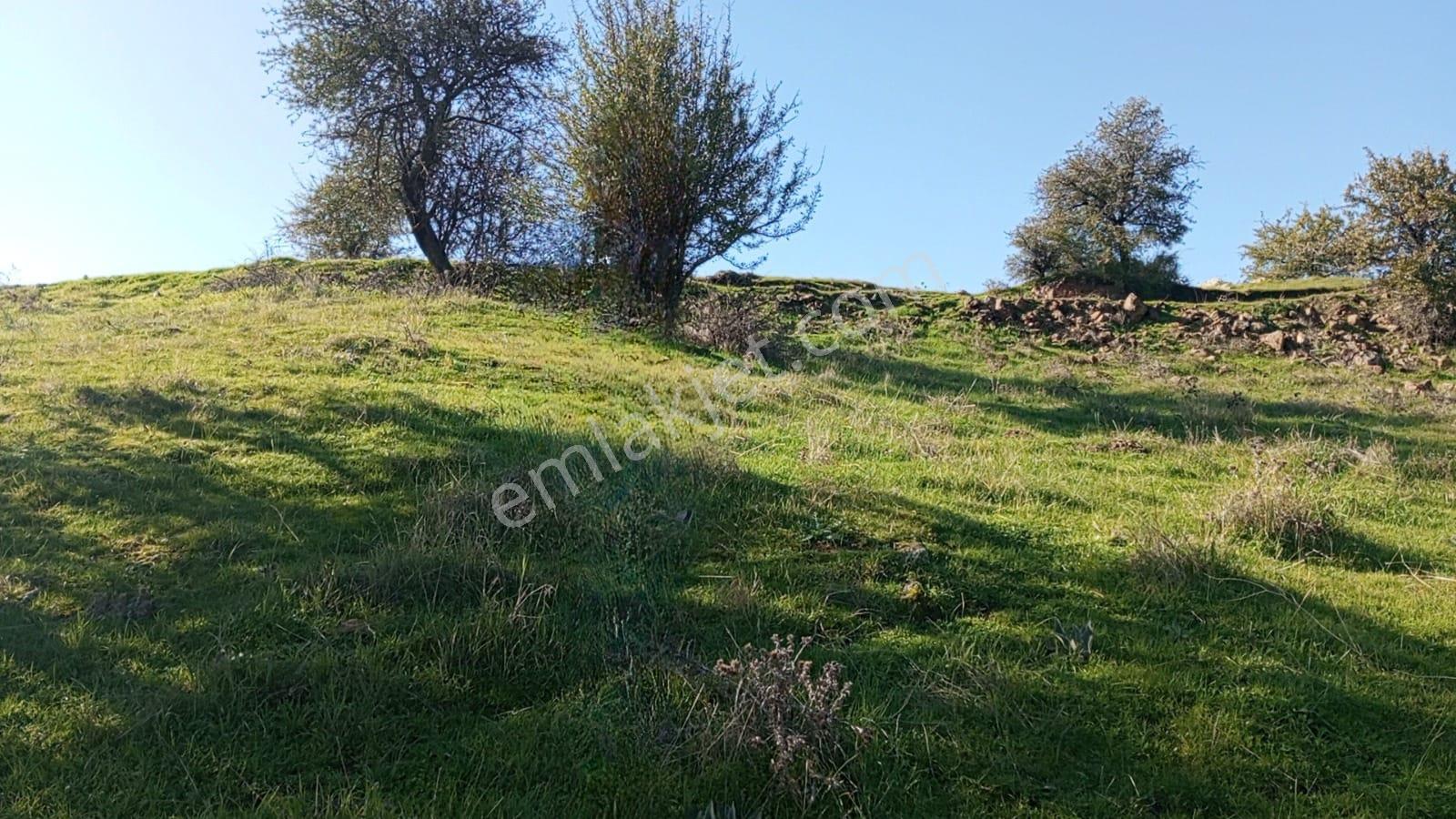 1411 M2 Tapulu Hisseli Tarla - Görsel 4