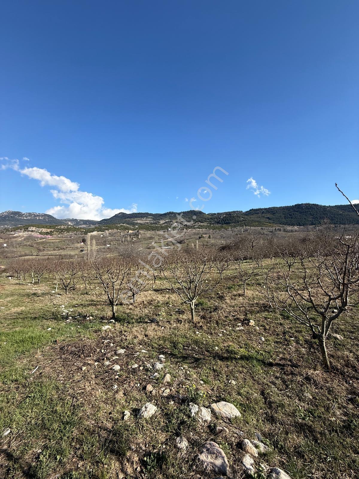 Bolkardan Arslanköy'de 1989m² Satılık Yaylalık Arazi - Görsel 18