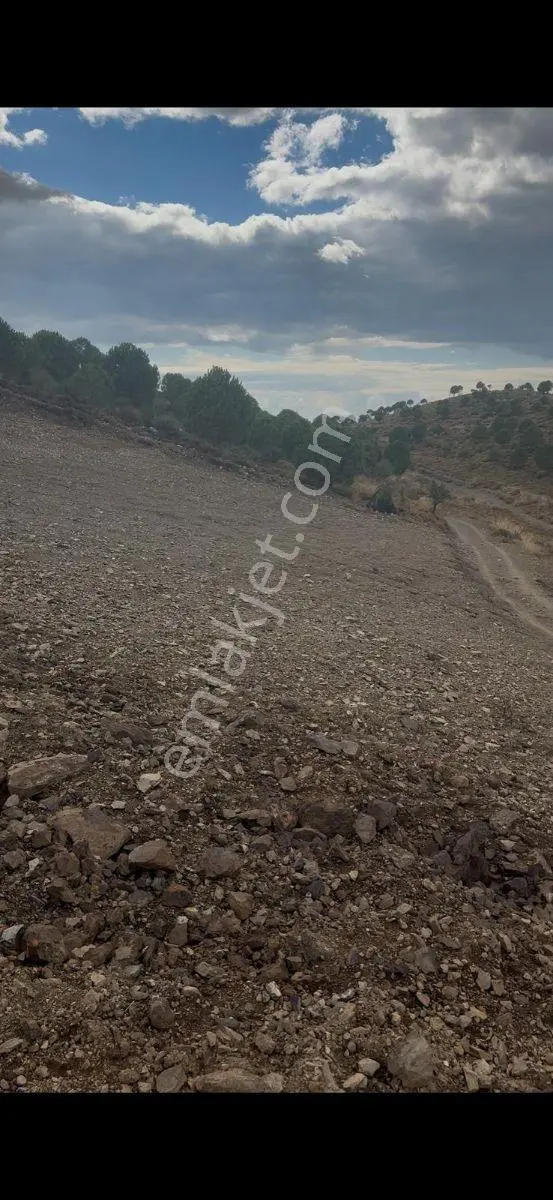 Ulamış' Ta 1000 M2 Satılık Tarla - Görsel 2
