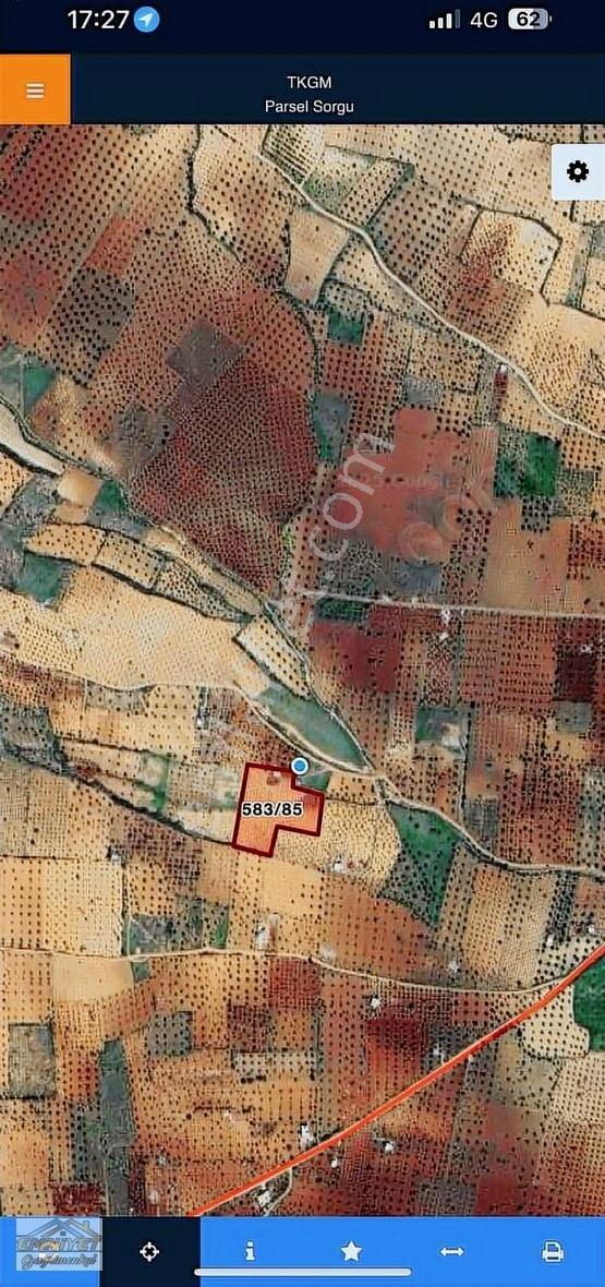 Satılık Kuru Kastel İlerisinde Zeytinlik 9450m2 Bağ Evlik - Görsel 25