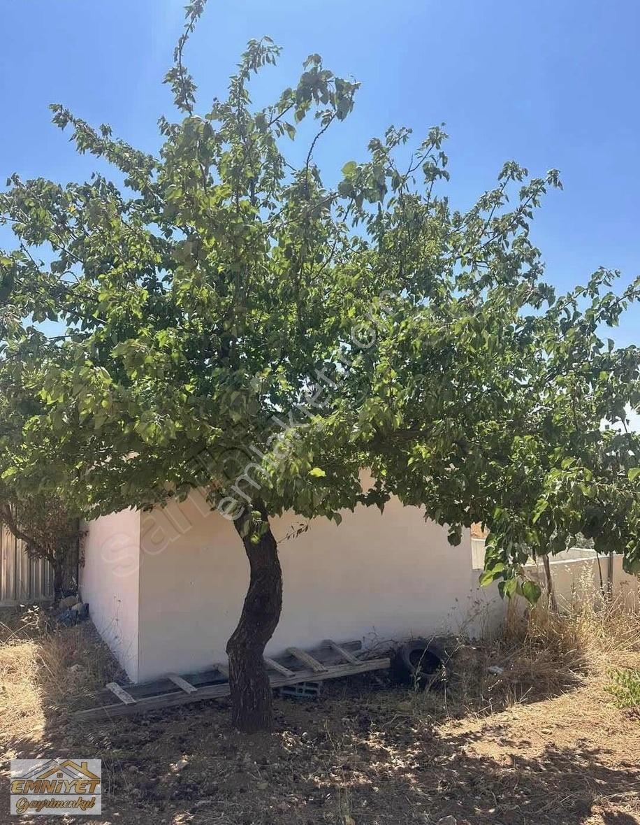 Satılık Kuru Kastel İlerisinde Zeytinlik 9450m2 Bağ Evlik - Görsel 26