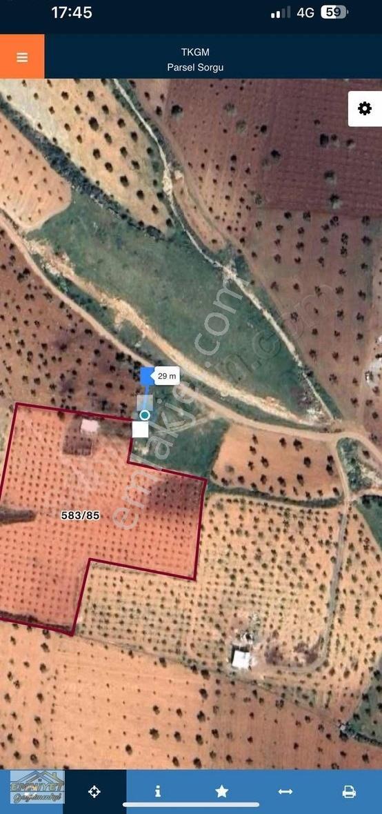 Satılık Kuru Kastel İlerisinde Zeytinlik 9450m2 Bağ Evlik - Görsel 6