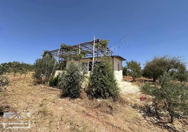 Satılık Kuru Kastel İlerisinde Zeytinlik 9450m2 Bağ Evlik - Görsel 27