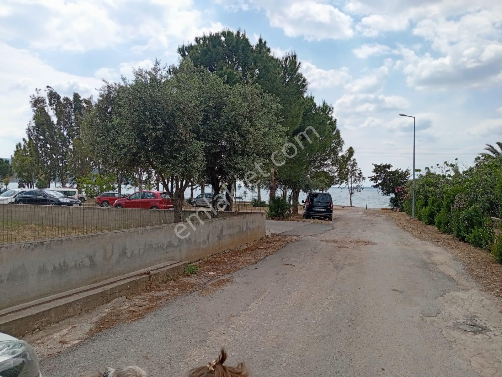Aydın Didim Akbük Merkez'de Günlük Kiralık Denize Sıfır Eşyalı Bahçeli Müstakil Ev - Görsel 8