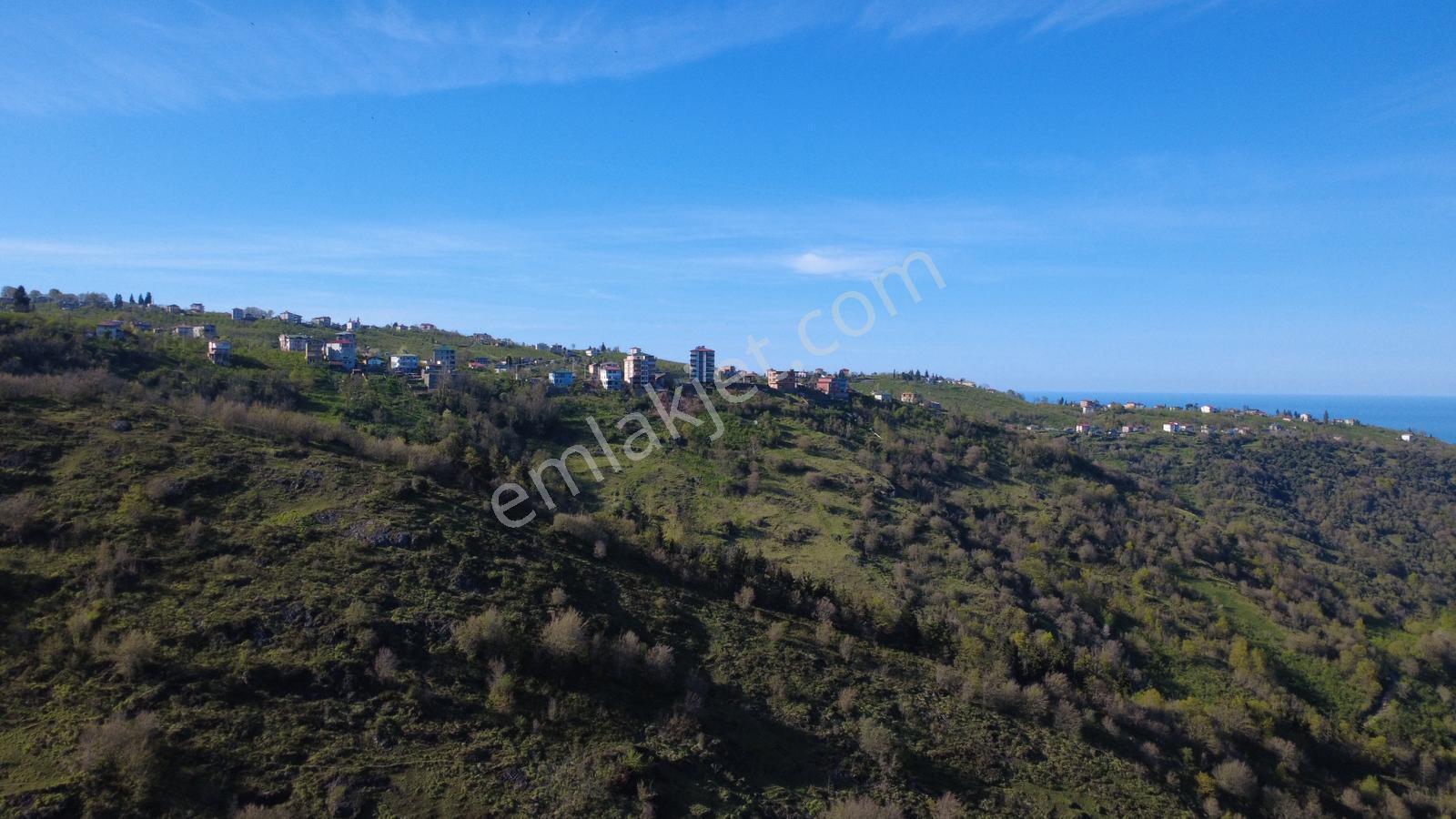 Trabzon'da Satılık Arazi - Görsel 28