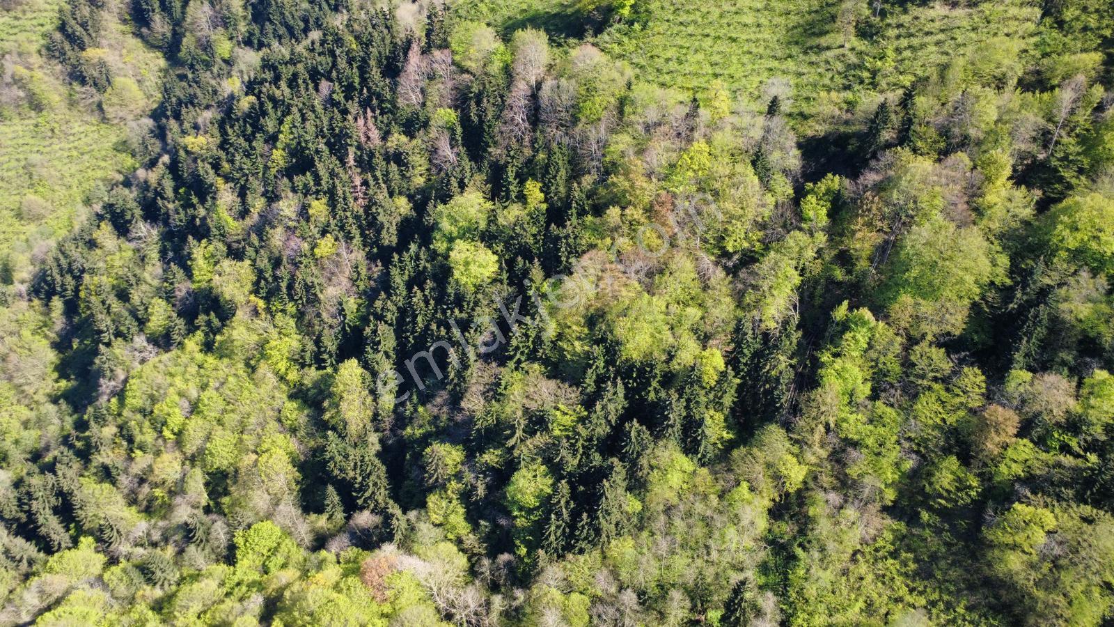 Trabzon'da Satılık Arazi - Görsel 26