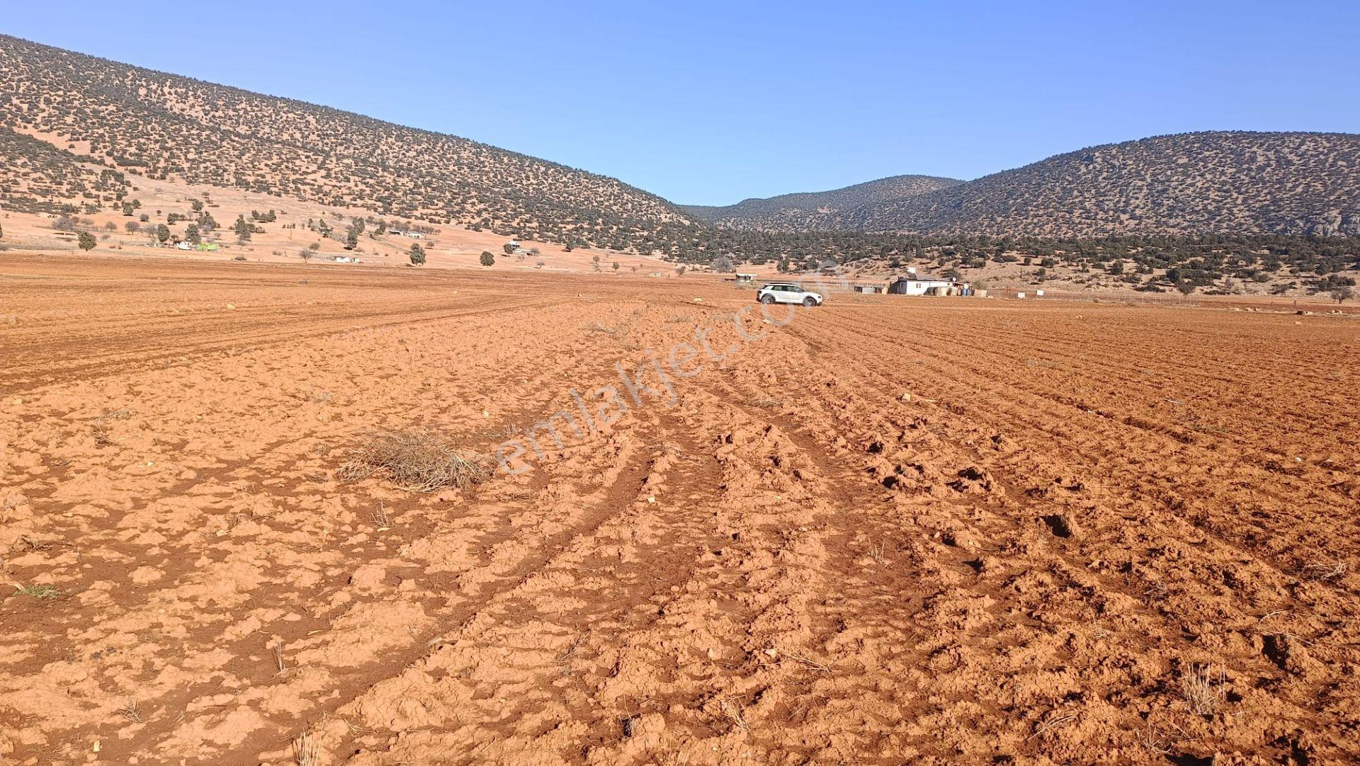 Antalya Korkuteli Beğiş Köyü'nde Satılık Verimli Tarla - Görsel 12