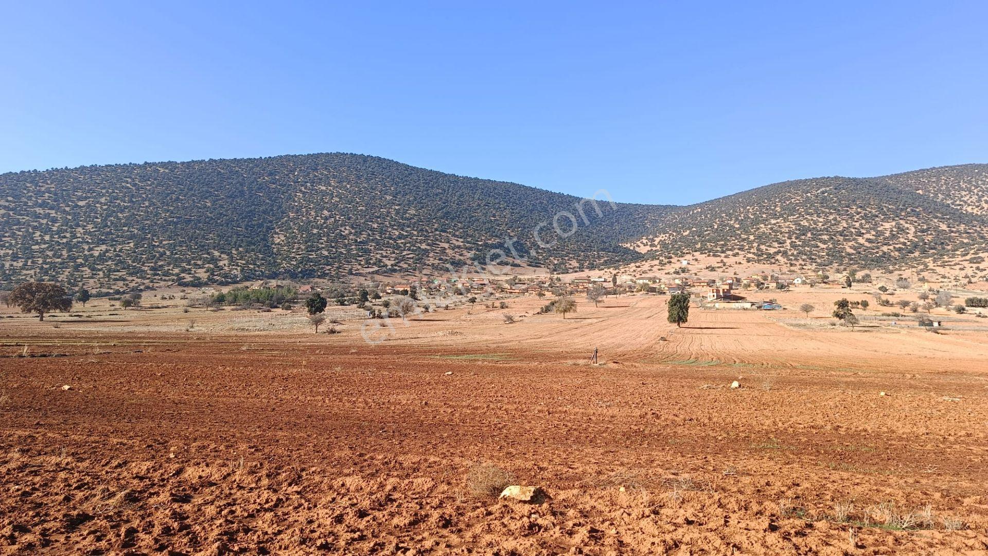 Antalya Korkuteli Beğiş Köyü'nde Satılık Verimli Tarla - Görsel 7