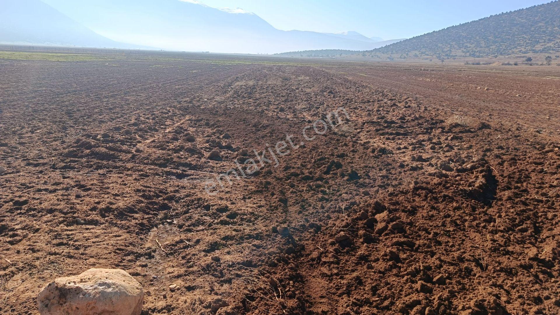 Antalya Korkuteli Beğiş Köyü'nde Satılık Verimli Tarla - Görsel 8