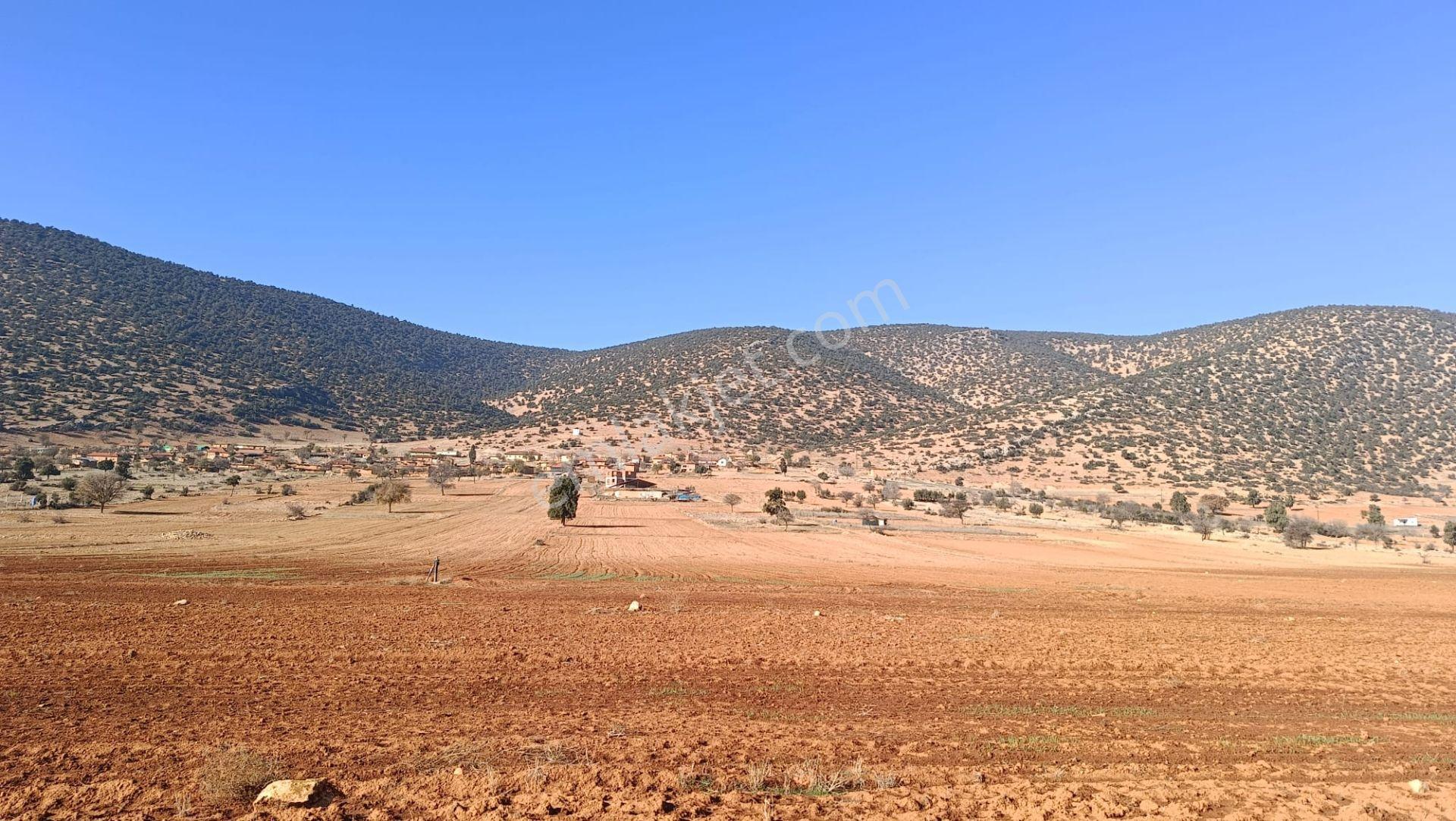 Antalya Korkuteli Beğiş Köyü'nde Satılık Verimli Tarla