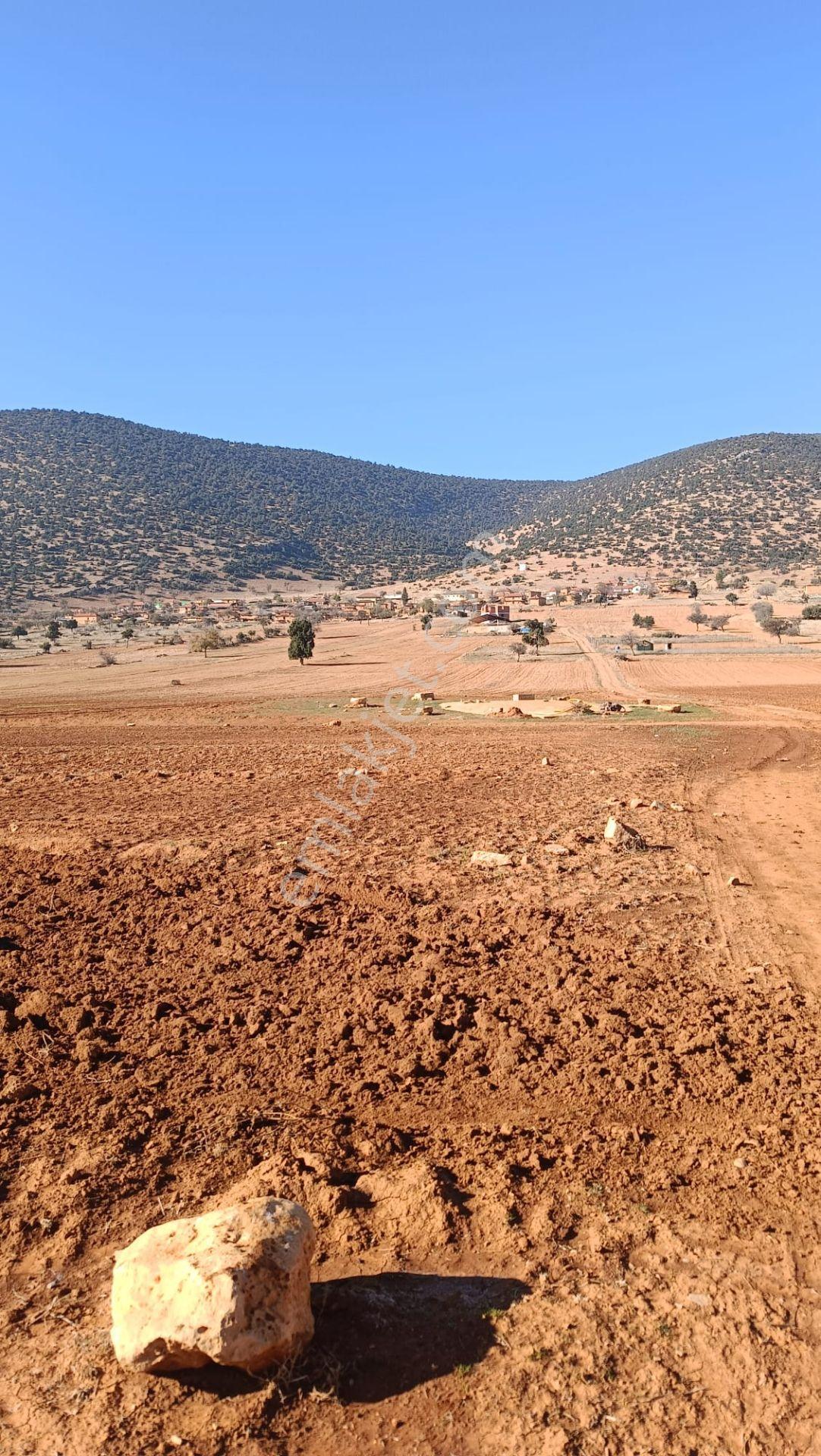 Antalya Korkuteli Beğiş Köyü'nde Satılık Verimli Tarla - Görsel 10