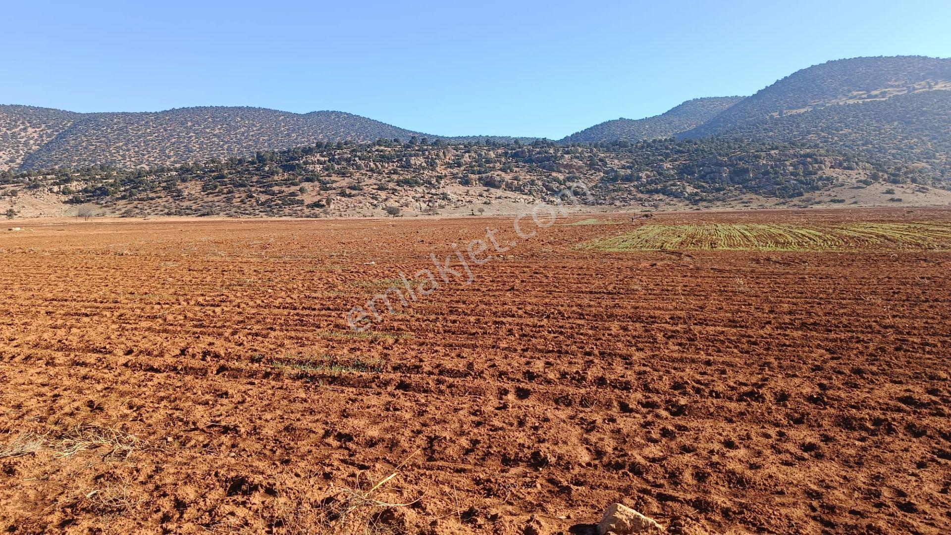 Antalya Korkuteli Beğiş Köyü'nde Satılık Verimli Tarla - Görsel 6