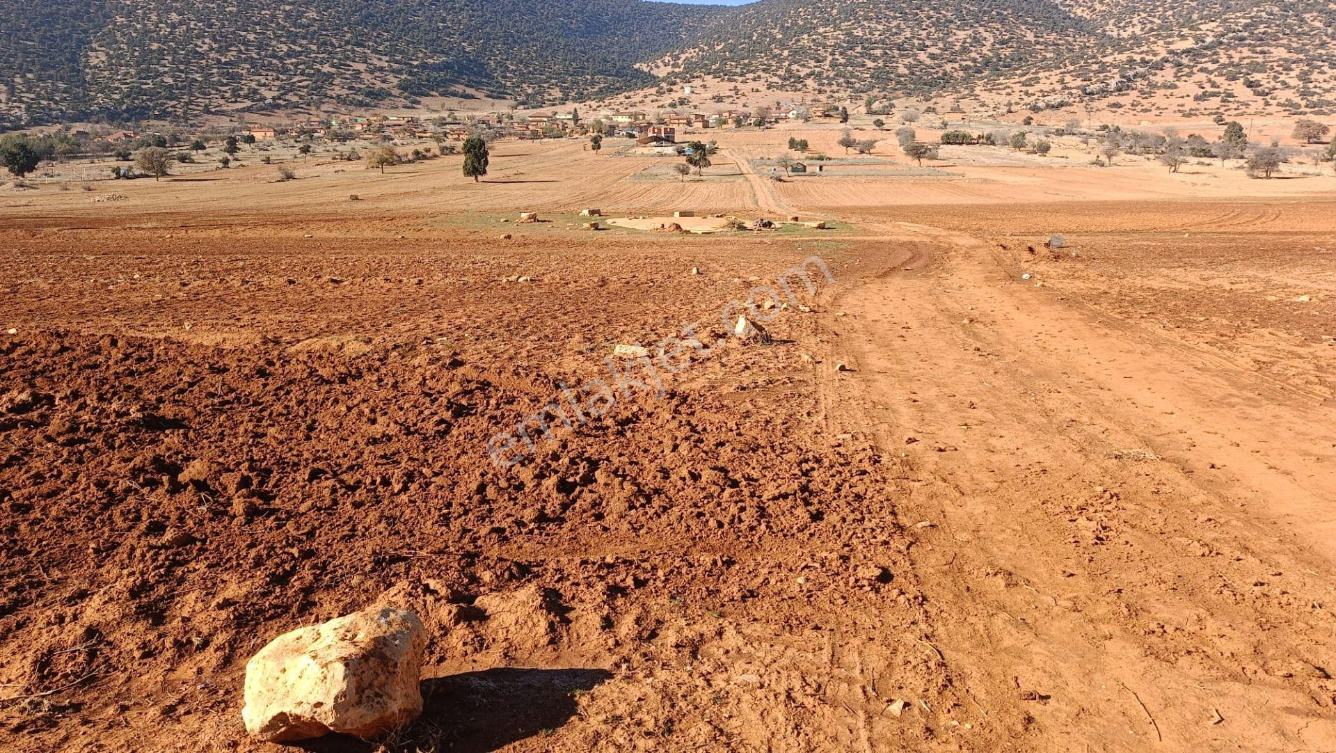 Antalya Korkuteli Beğiş Köyü'nde Satılık Verimli Tarla - Görsel 9