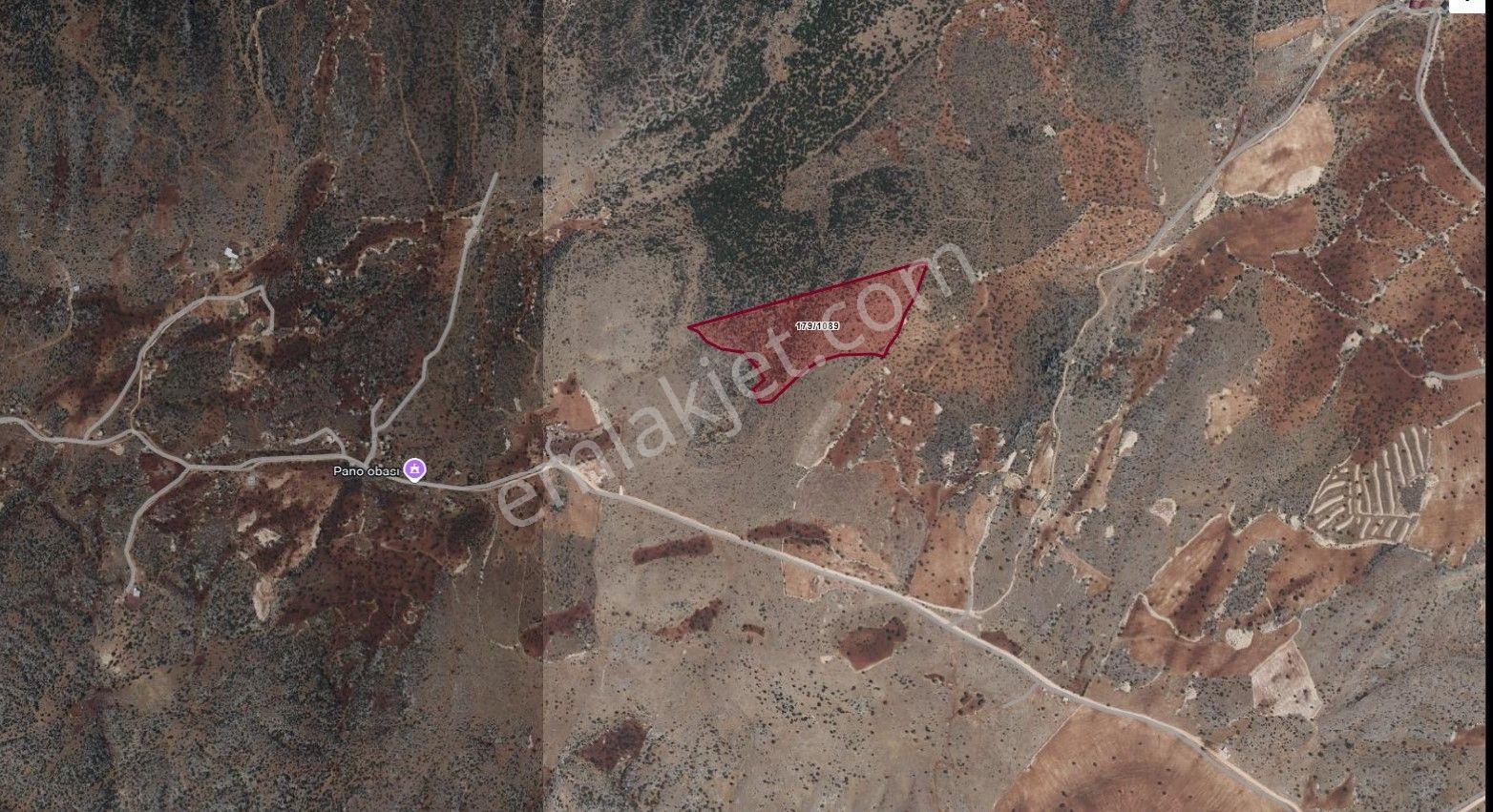 Pazarcık Tilkiler'de Satılık 55.155 M2 Fıstıklık - Görsel 2
