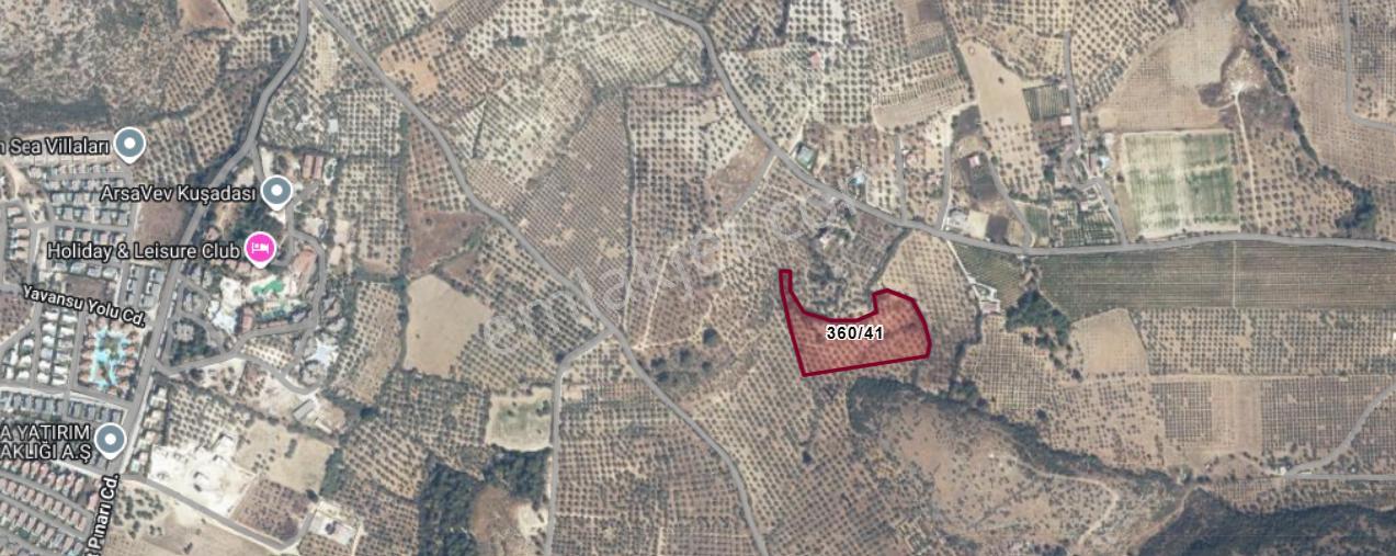 Şehır Merkezıne Yakın 15.033 M² Satılık Zeytınlık - Görsel 15